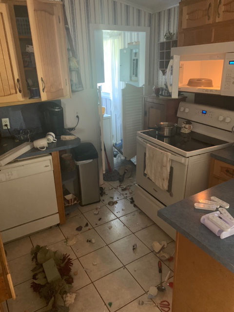 earthquake 2.jpg